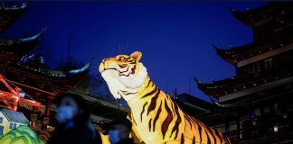 China-Año Nuevo Lunar-Tigre de agua