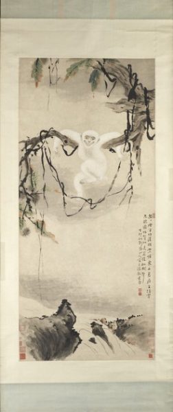 el mono blanco-the-white-monkey 2