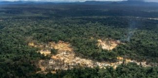 deforestación en Amazonía