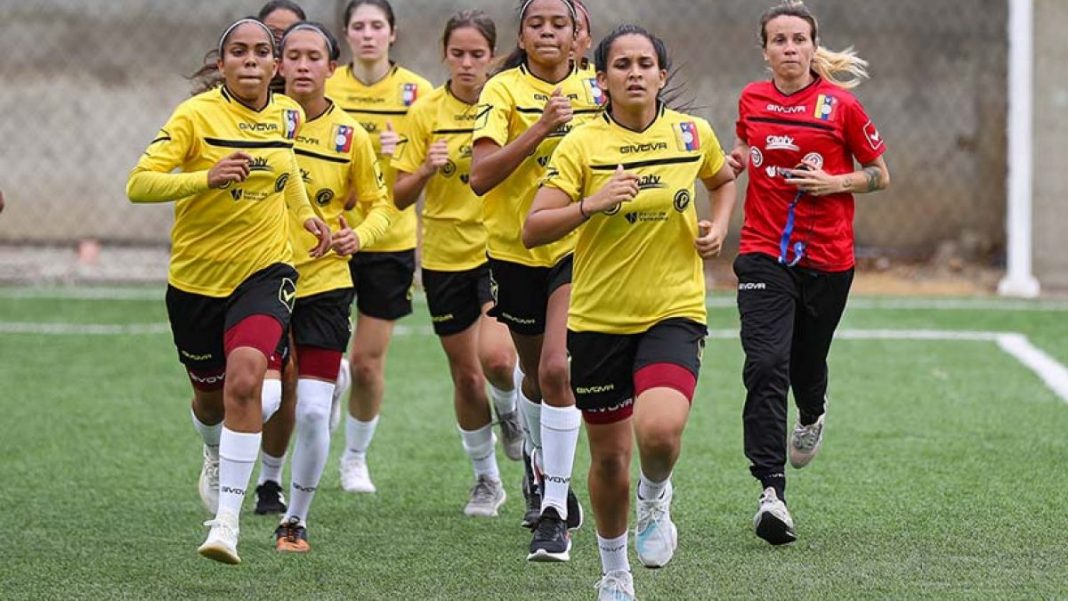Vinotinto femenina