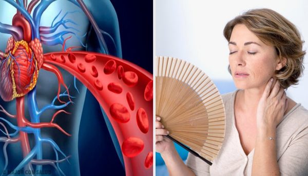 corazon femenino tras la menospausia