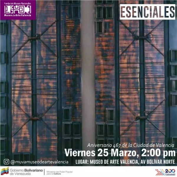 Esenciales-fabiola Sequera-MUVA-Fenestración I y II
