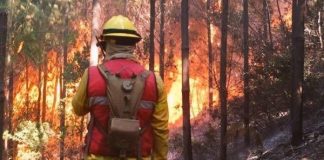 alerta amarilla ante incendios