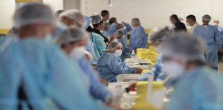 emergencia sanitaria