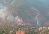 Activan Sistema Integral de Protección contra Incendios Forestales Este miércoles fue activado el Sistema Integral de Protección contra Incendios Forestales, conjuntamente entre distintos órganos y entes del Estado