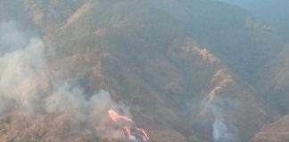 Este miércoles fue activado el Sistema Integral de Protección contra Incendios Forestales, conjuntamente entre distintos órganos y entes del Estado