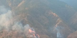 Este miércoles fue activado el Sistema Integral de Protección contra Incendios Forestales, conjuntamente entre distintos órganos y entes del Estado