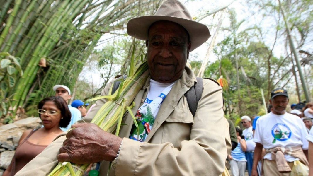 Palmeros