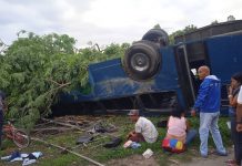 Accidente de tránsito en Central Tacarigua