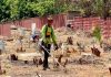 Rehabilitación del Cementerio Municipal de Valencia