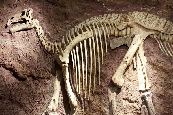 dinosaurio Los Dinosaurios