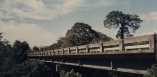 Japón financió construcción de 35 puentes rurales