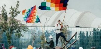 Gobierno y organizaciones indígenas