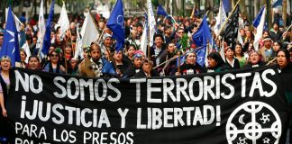 Mapuche-terroristas