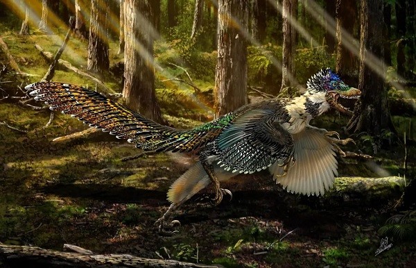dinosaurio El primer dinosaurio con plumas