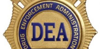 DEA, una historia de escasa efectividad contra las drogas