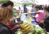 Feria del campo soberano