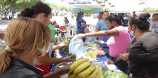 Feria del campo soberano