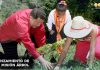 Pdte. Maduro celebra 16 años de creación de Misión Árbol misión árbol-16 años-maduro