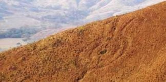 rueda del indio-geoglifo-chirgua 2