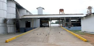 Minppal distribuye diez plantas de Silos para recibir y almacenar materia prima