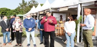 Presidente Maduro llamó a impulsar la exportación de cacao
