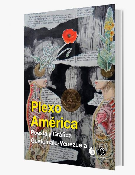 Plexoamérica. Poesía y Gráfica Guatemala-Venezuela