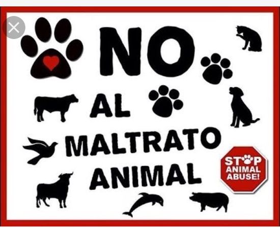 La lucha contra el maltrato animal es de todos