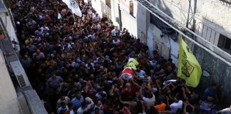 joven palestino