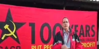 Psuv en Sudáfrica