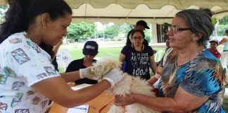 Movimiento Somos Venezuela lanza Red Nacional de Protección Animal