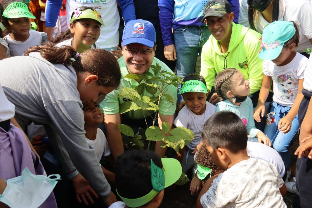 reforestación