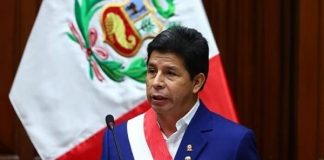 Petición de viaje de Pedro Castillo