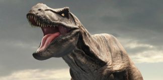 El rey de los dinosaurios