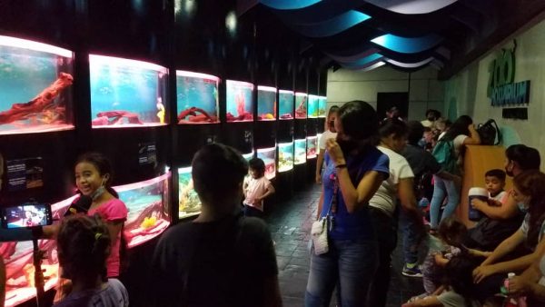 ZooAquarium