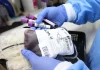 porque es importante donar sangre