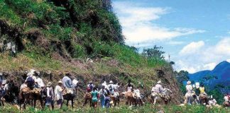campesinos en Cauca