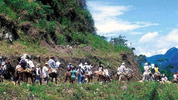colombia_desplazamiento_semana.jpg_1718483347 campesinos en Cauca