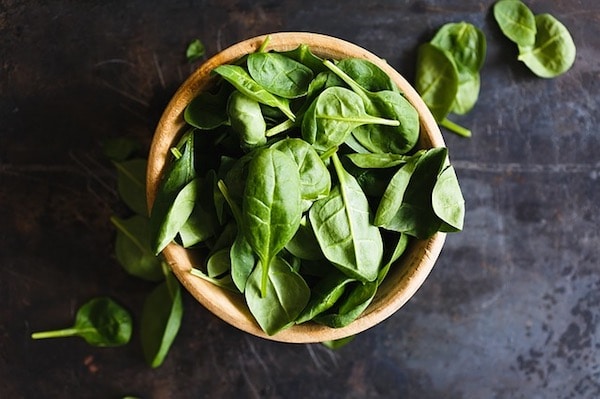 albahaca albahaca