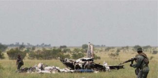 La Fuerza Armada Nacional Bolivariana