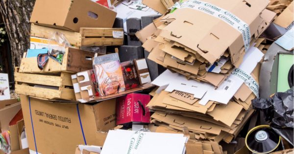 Reciclar cartón es una alternativa de ingreso para la familia