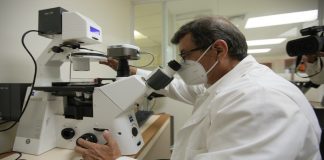 Venezuela está a la vanguardia de células-madres para regenerar tejidos