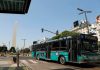 transporte colectivo en Argentina