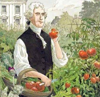 Robert Gibbon Johnson-tomate-tomates
