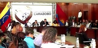 Nueva Constitución de Carabobo