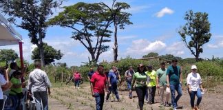 Estado Mayor de Alimentación