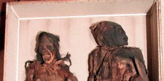 Las momias suramericanas