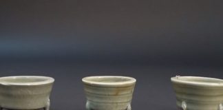 Excavación de naufragio