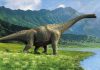 dinosaurio saurópodo