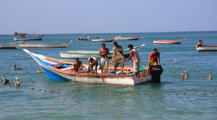 MinPesca: Captura pesquera es cercana a 144 mil toneladas